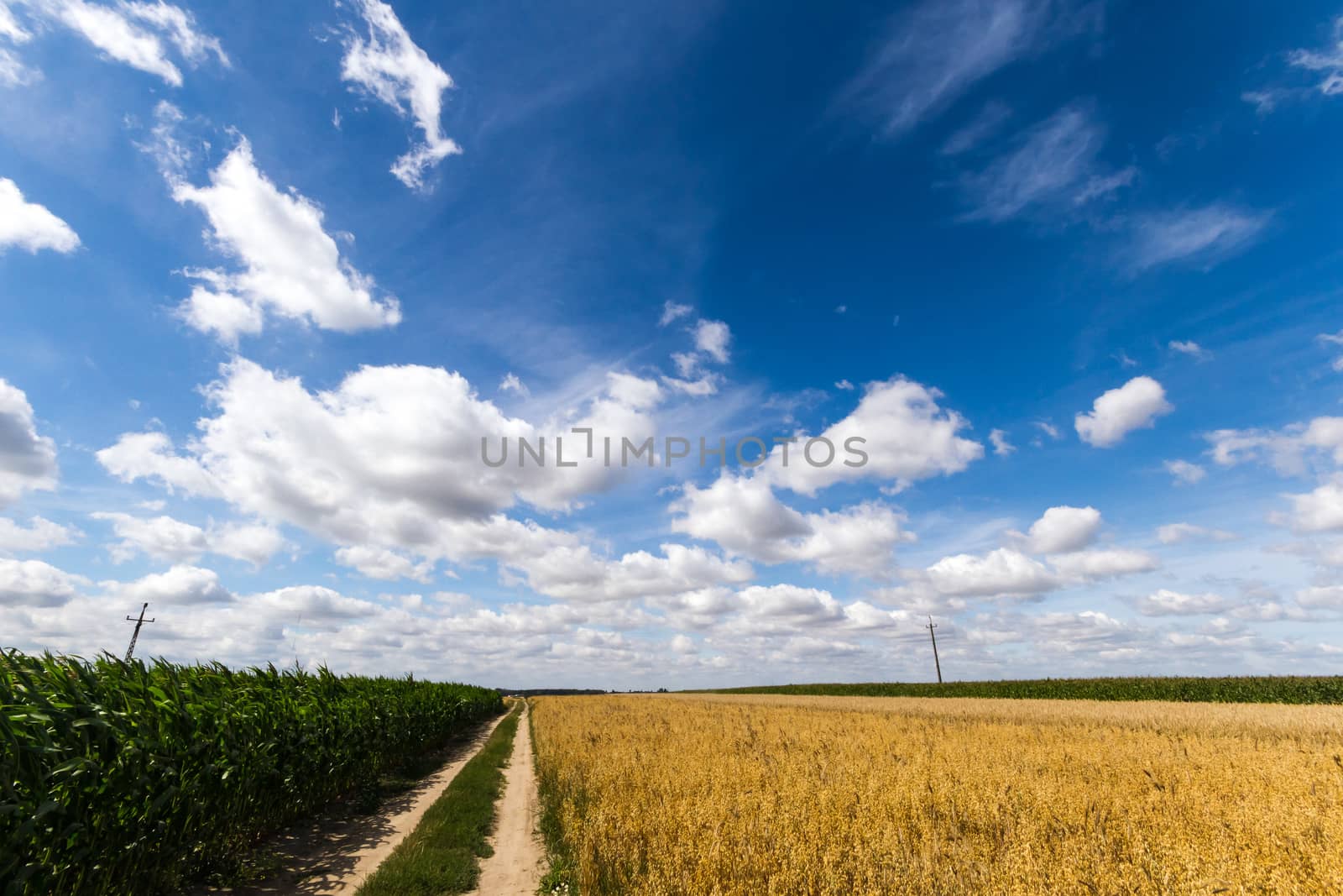 agricultural field, nature and agriculture farming series