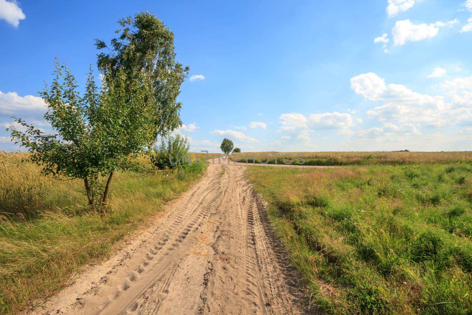 agricultural field, nature and agriculture farming series