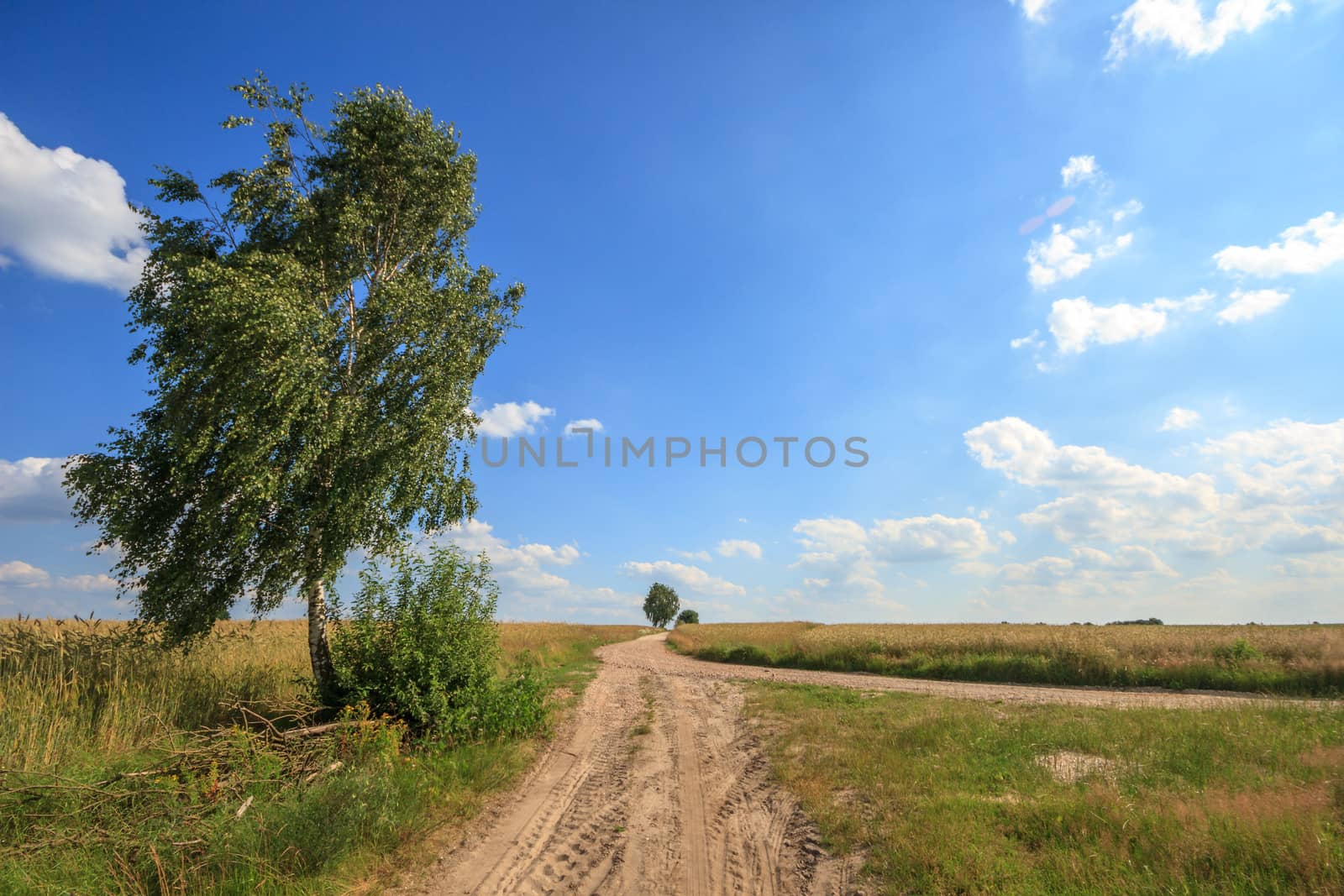 agricultural field, nature and agriculture farming series