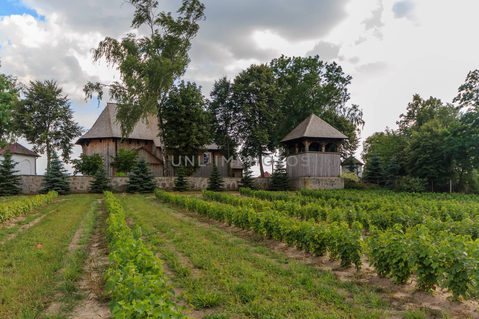 agricultural field, nature and agriculture farming series