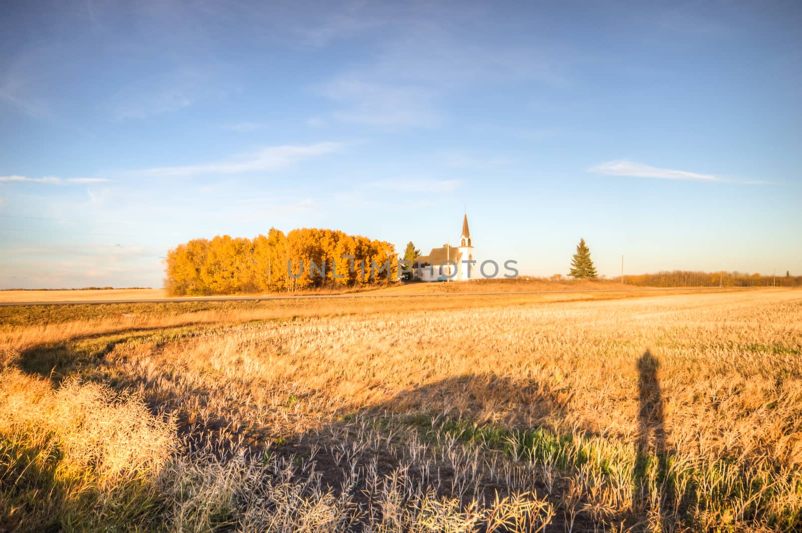 agricultural field, nature and agriculture farming series
