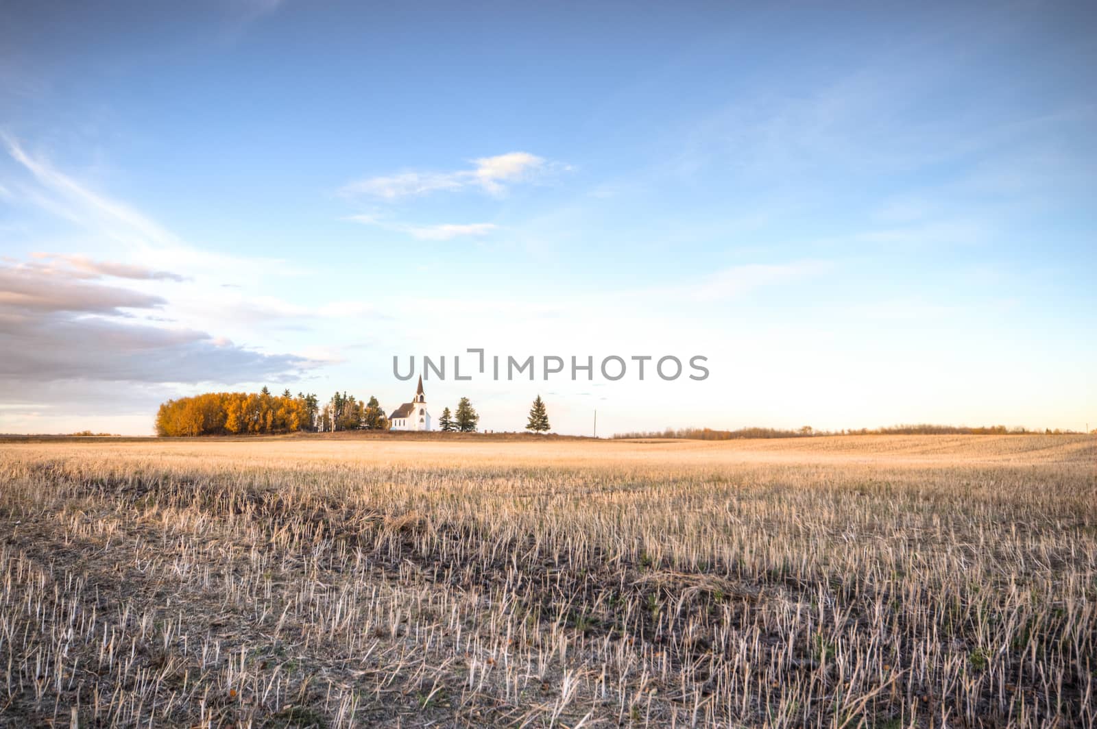 agricultural field, nature and agriculture farming series