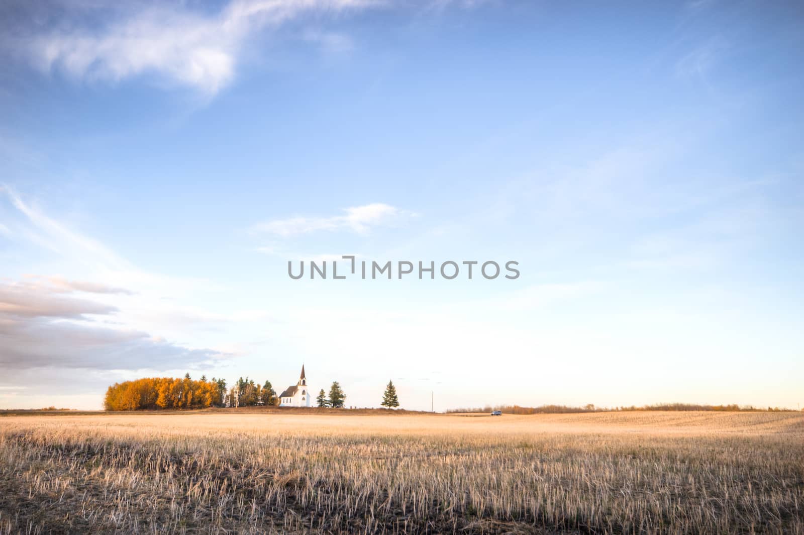 agricultural field, nature and agriculture farming series