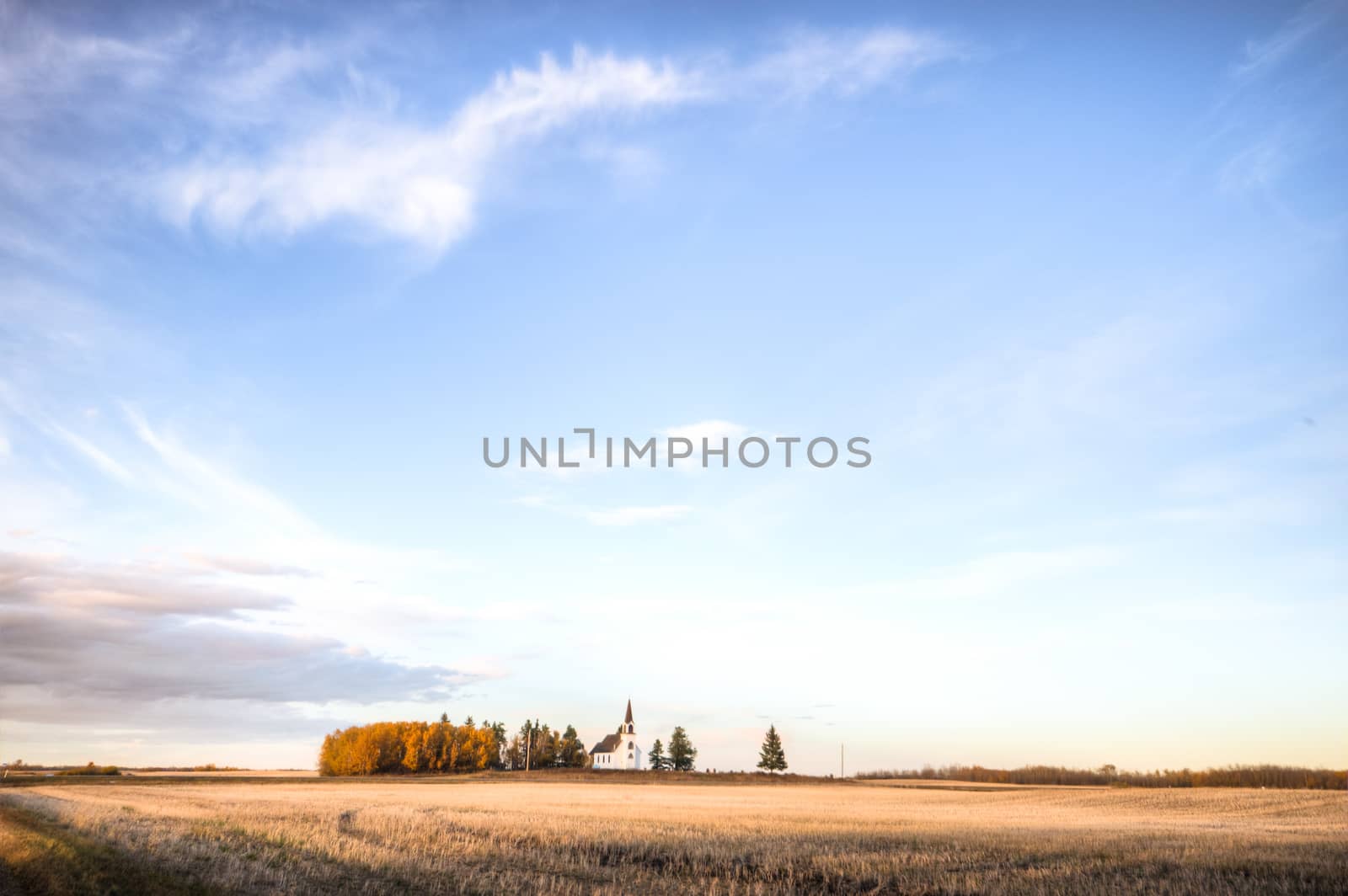 agricultural field, nature and agriculture farming series