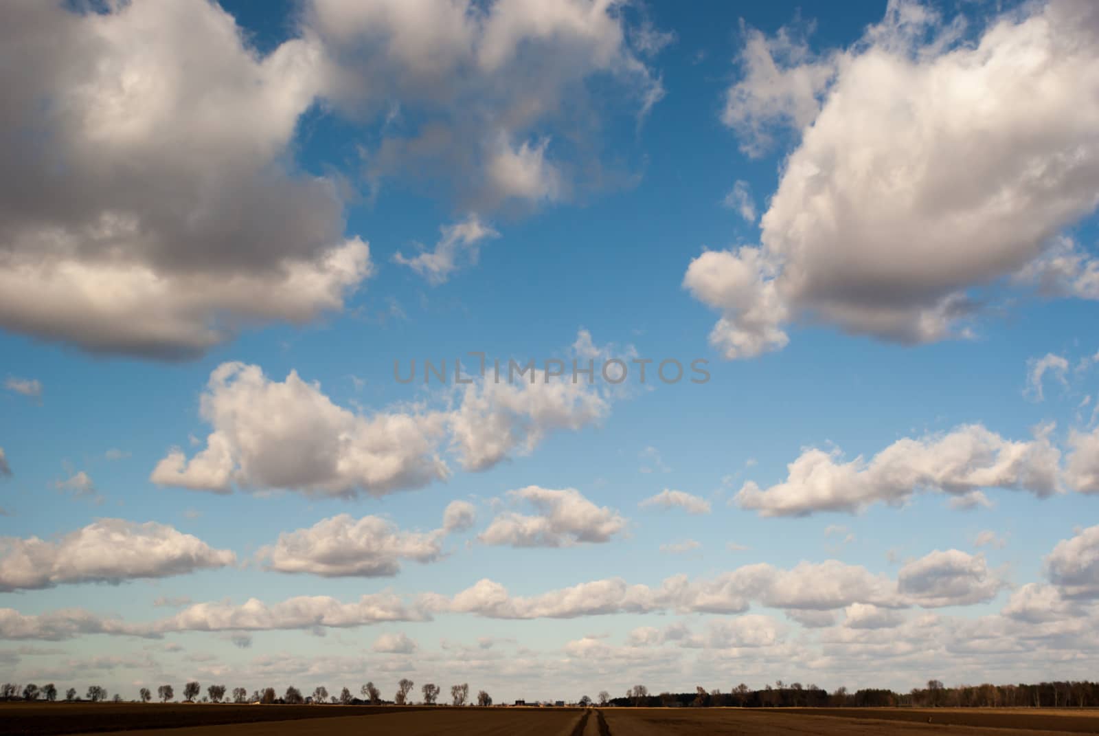 agricultural field, nature and agriculture farming series