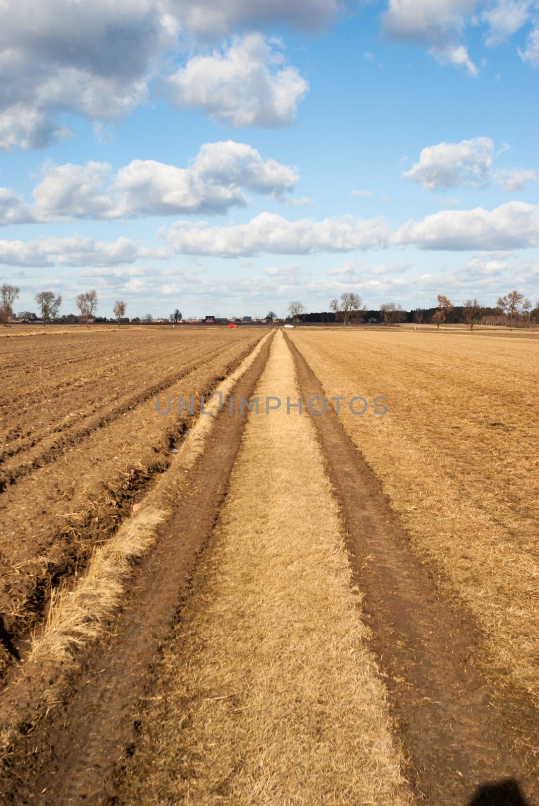 agricultural field, nature and agriculture farming series