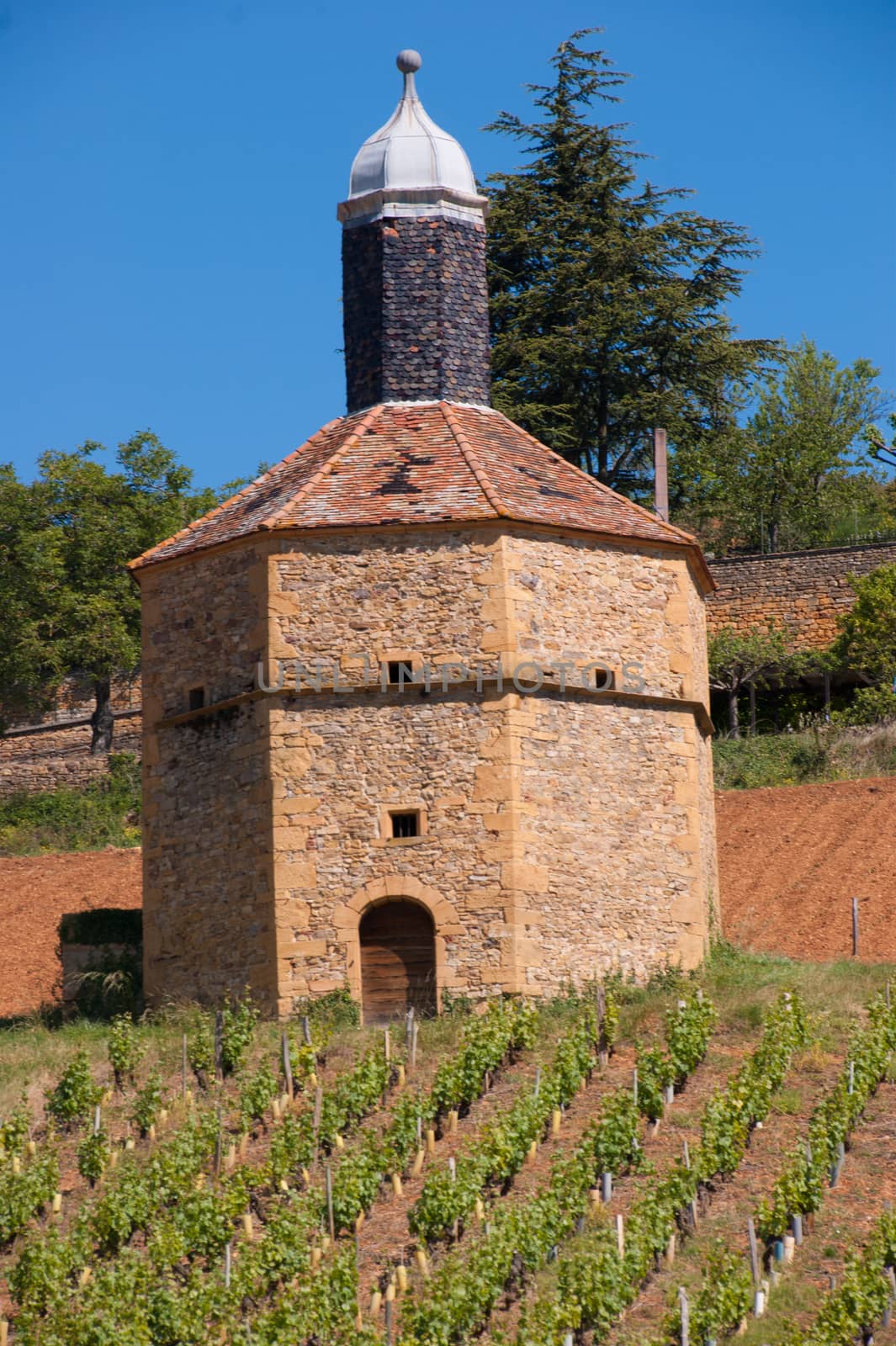 bagnols,rhone,france
