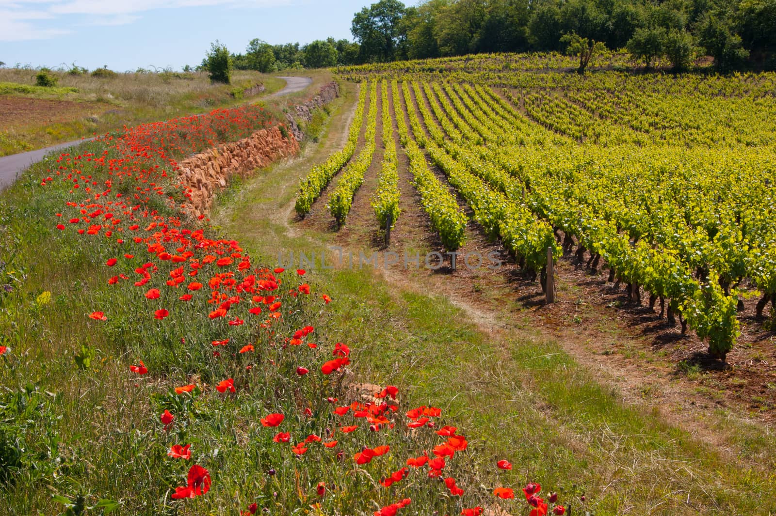 bagnols,rhone,france