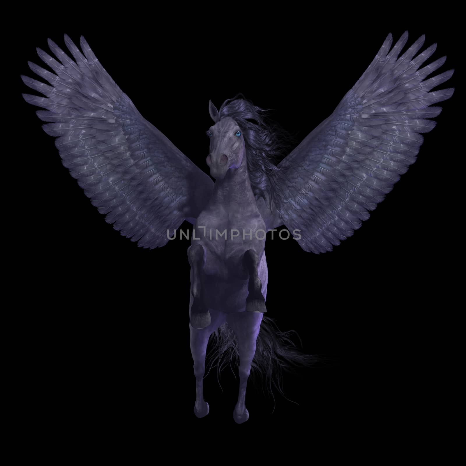 Pegasus is a divine mythical creature that has the form of a winged stallion horse.