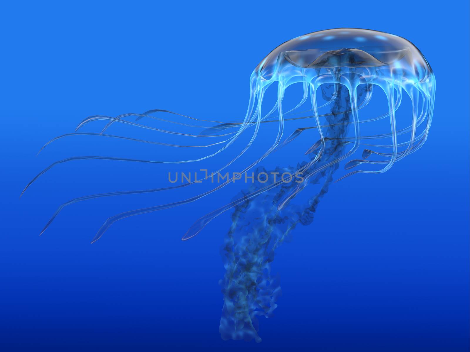 Blue Spotted Jellyfish by Catmando