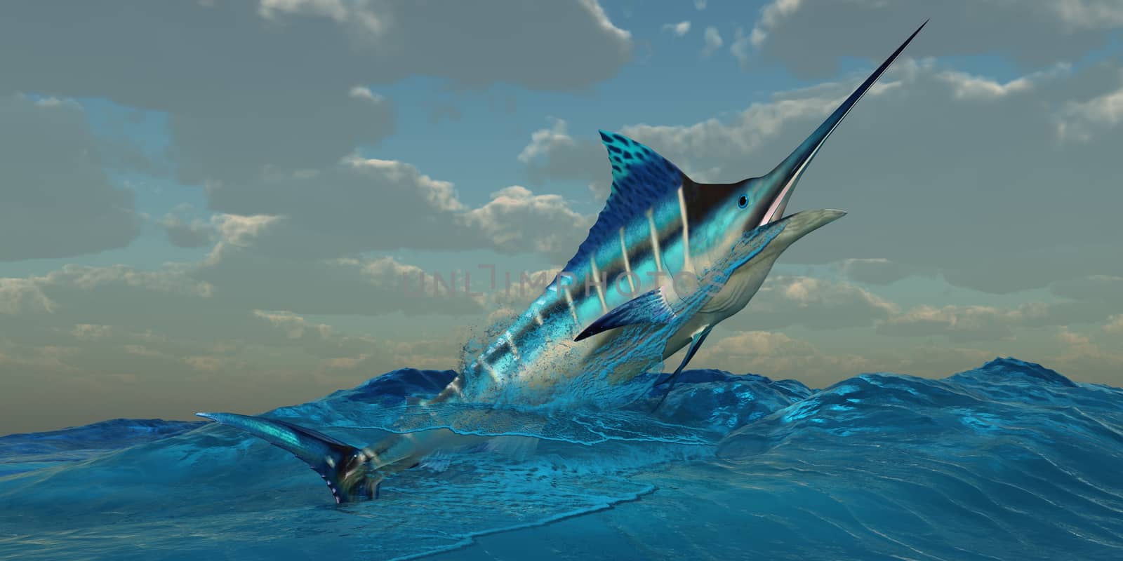 Blue Marlin Burst by Catmando