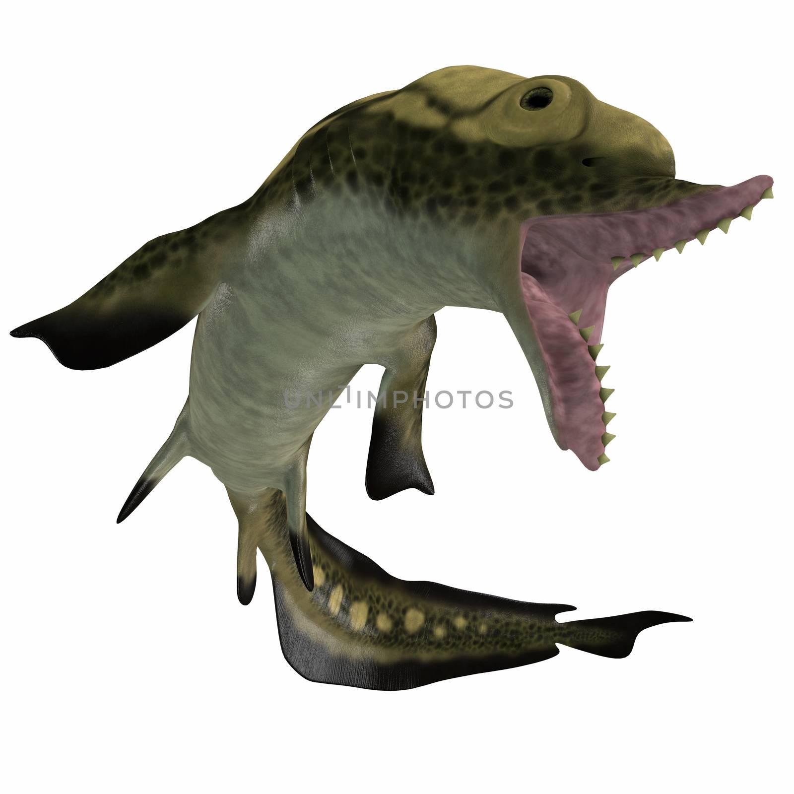 Carboniferous Edestus Shark by Catmando