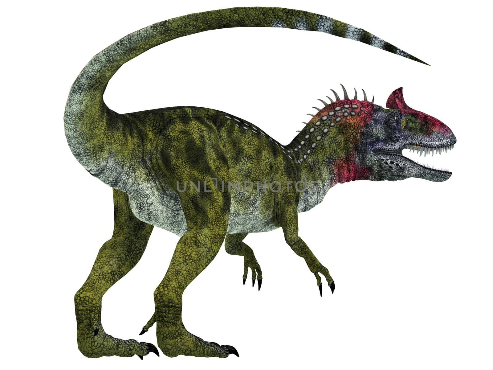 Cryolophosaurus was a theropod dinosaur that lived in Antarctica during the Jurassic Period.