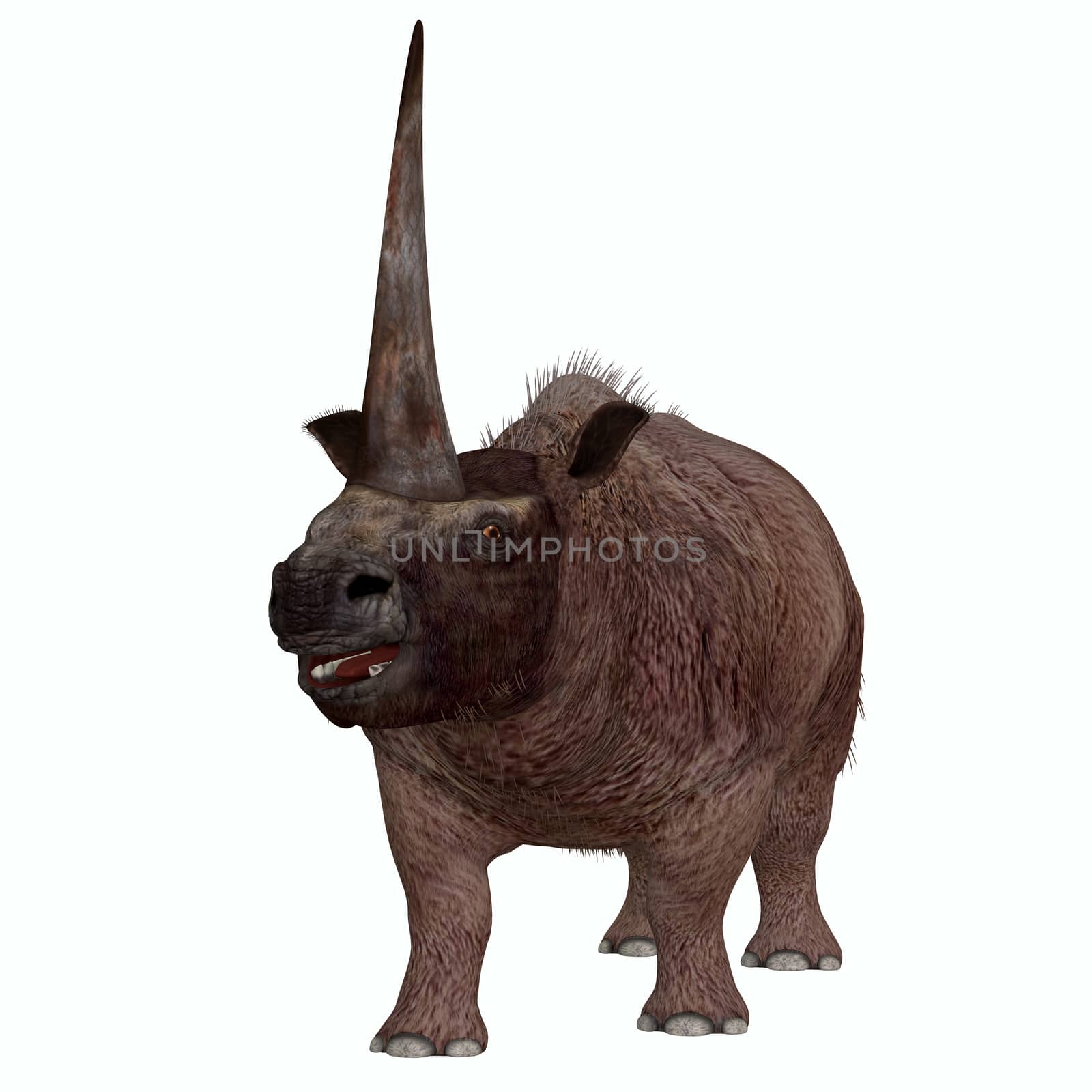 Elasmotherium is an extinct mammal that lived in the Pleistocene Period of Russia, Ukraine, and Moldova.