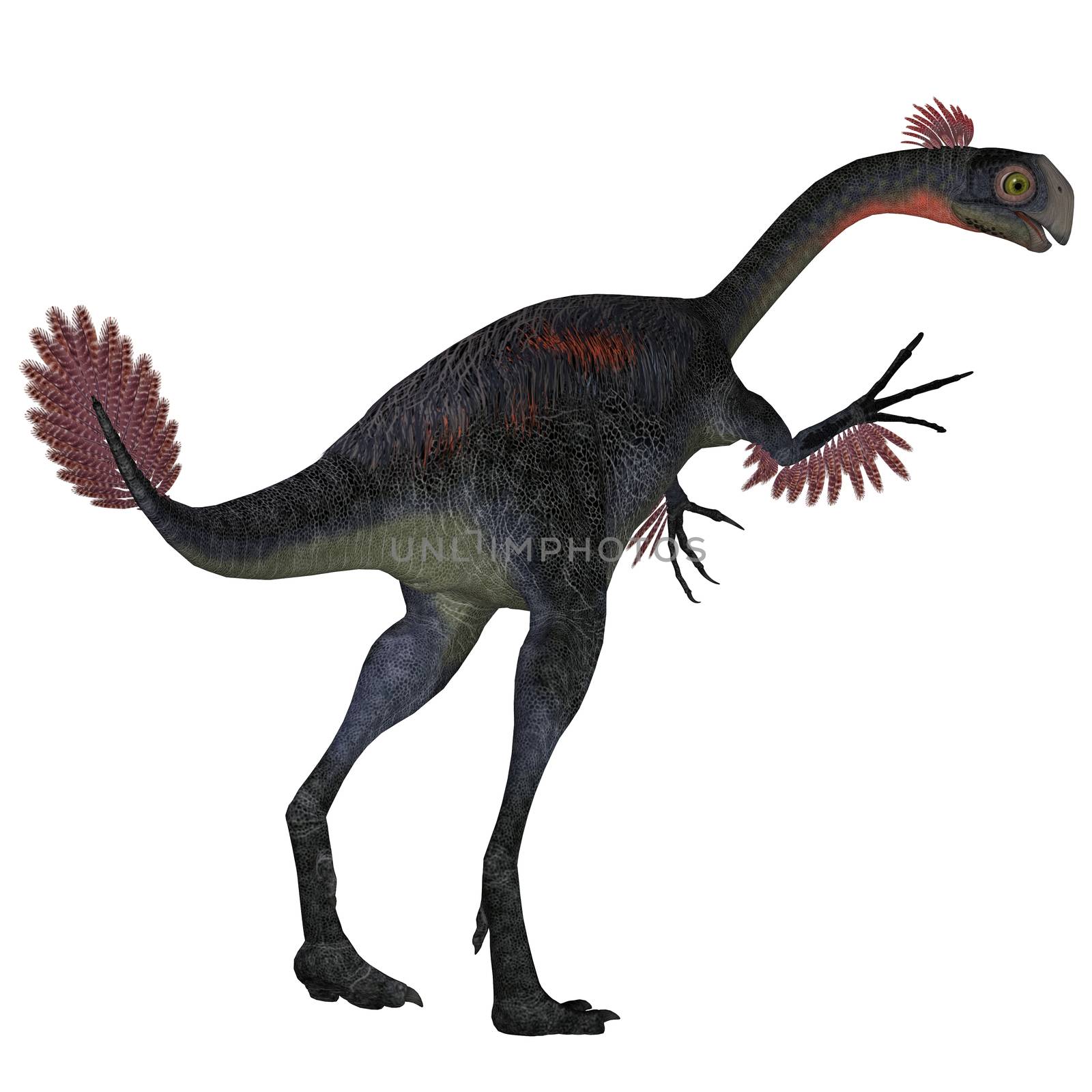 Gigantoraptor Dinosaur Tail by Catmando