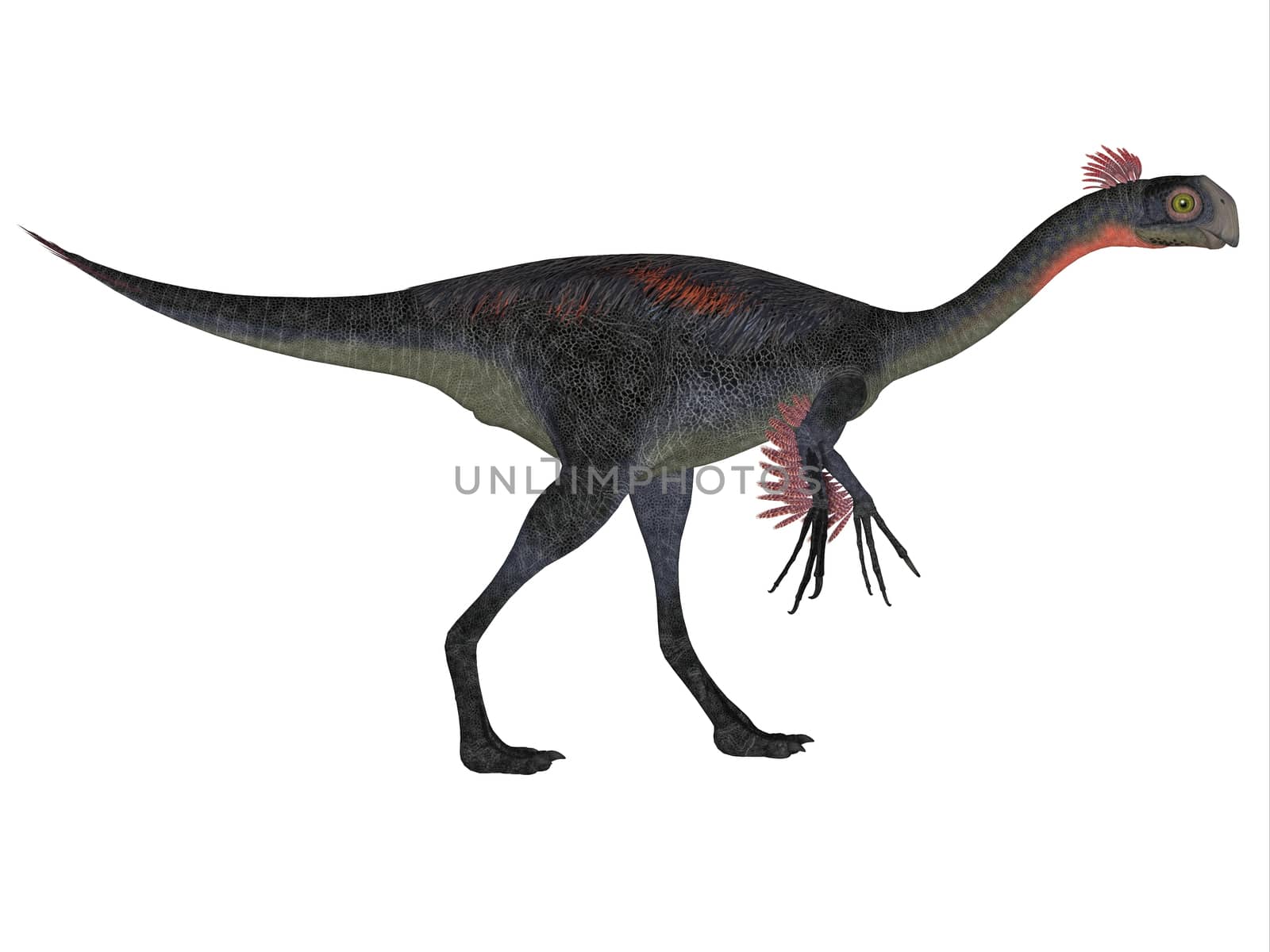 Gigantoraptor was a theropod dinosaur that lived in Inner Mongolia, China in the Cretaceous Period.