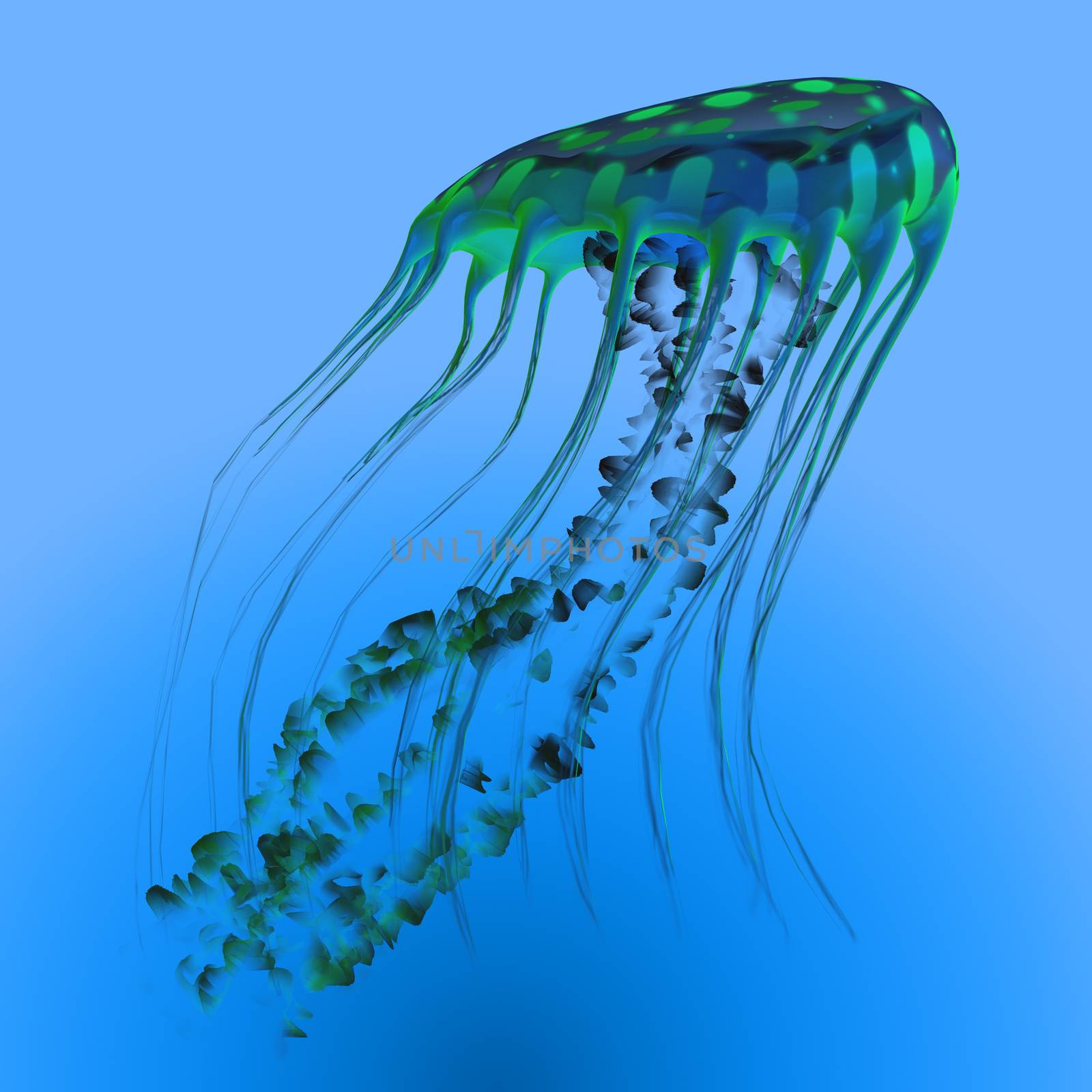 Green Blue Jellyfish by Catmando