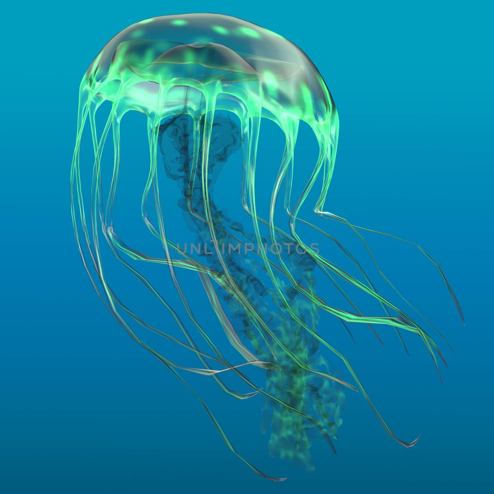 Glow Green Jellyfish by Catmando