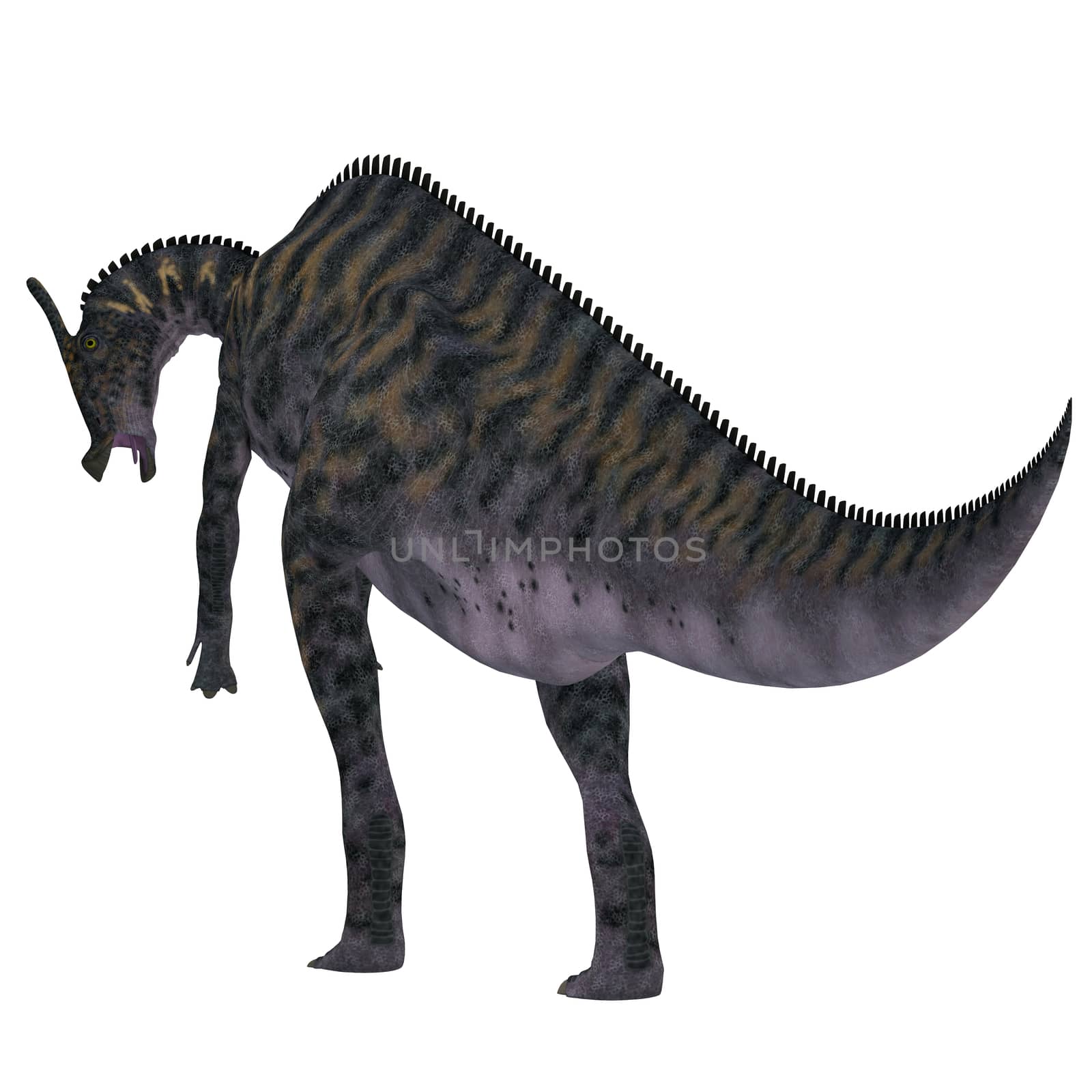 Saurolophus Dinosaur Tail by Catmando