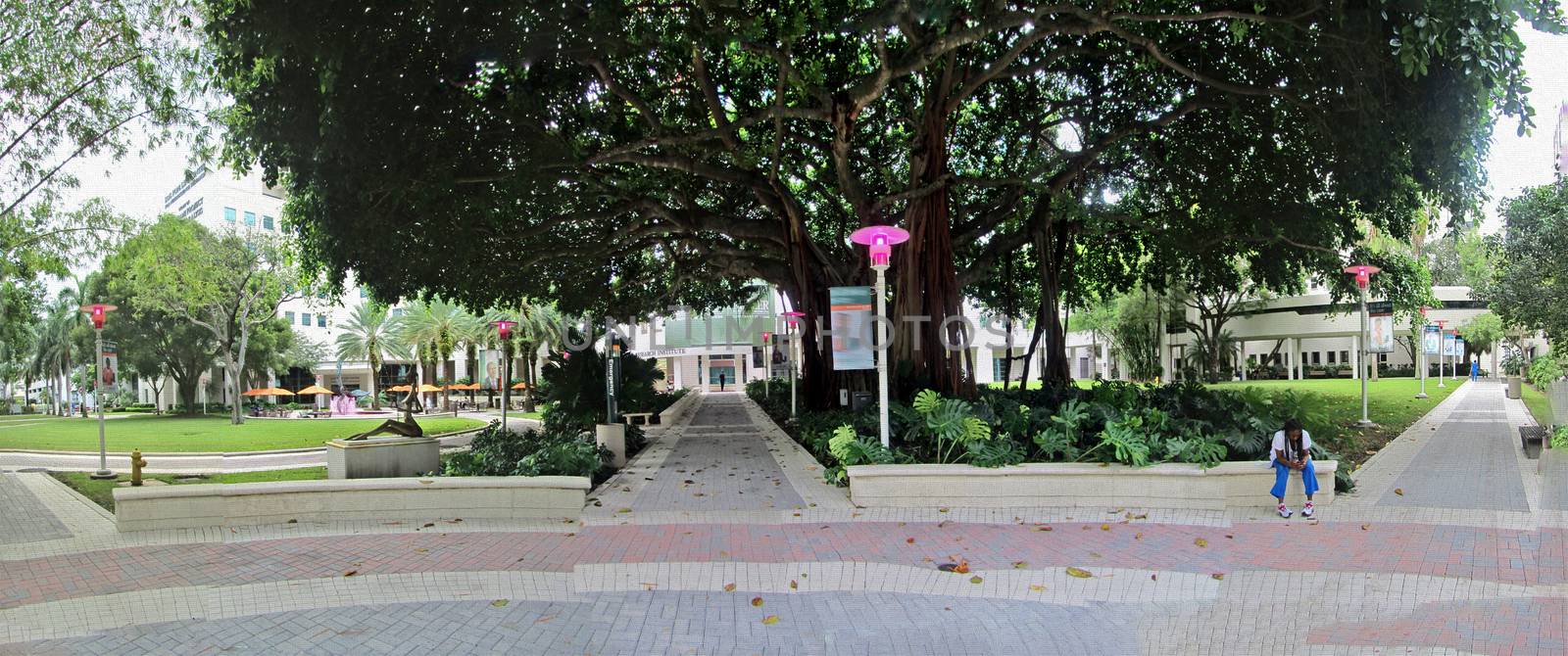 Panoramic view of Miami University Campus
