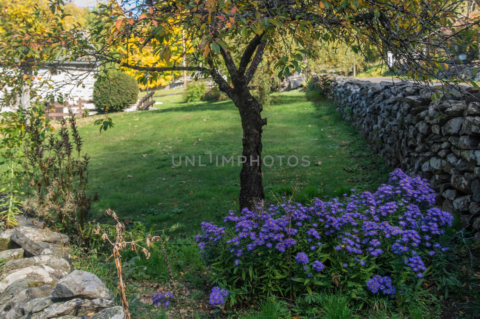 saint julien chapteuil,haute loire,auvergne,france