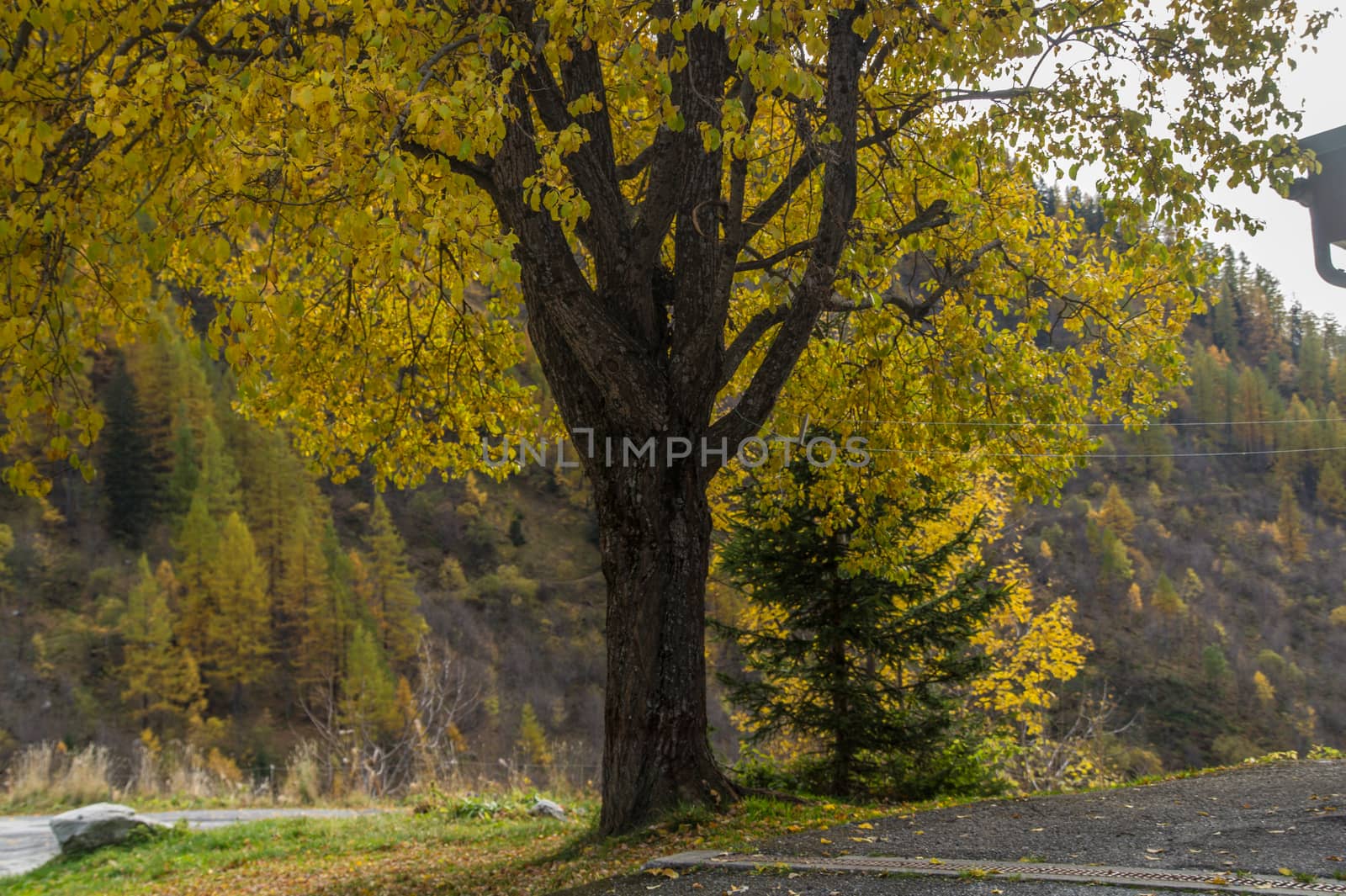 montroc,chamonix,haute savoie,france