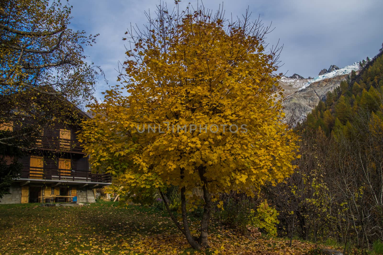 montroc,chamonix,haute savoie,france