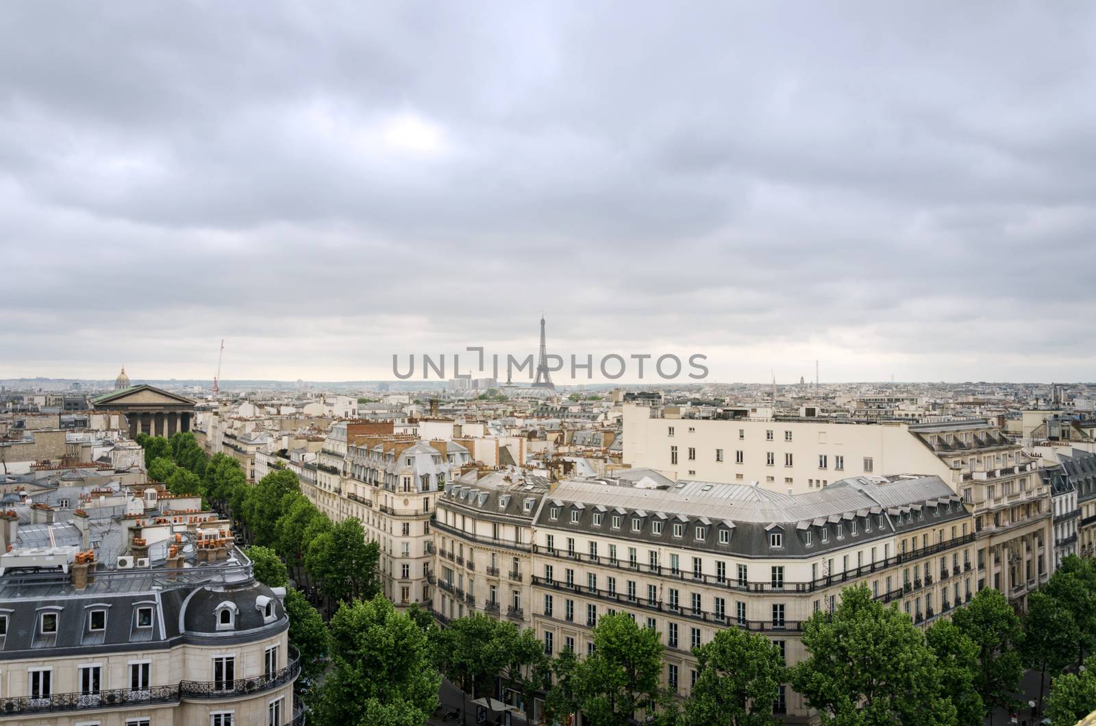 Rooftop Paris Skyline with Madeleine Church and Eiffel Tower, France