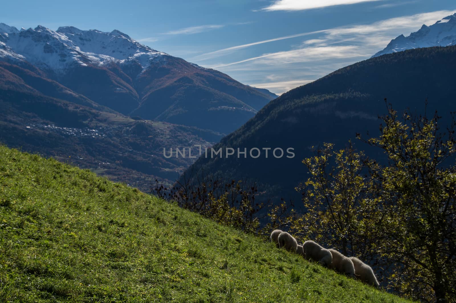 niwarch,ausserberg,valais,swiss