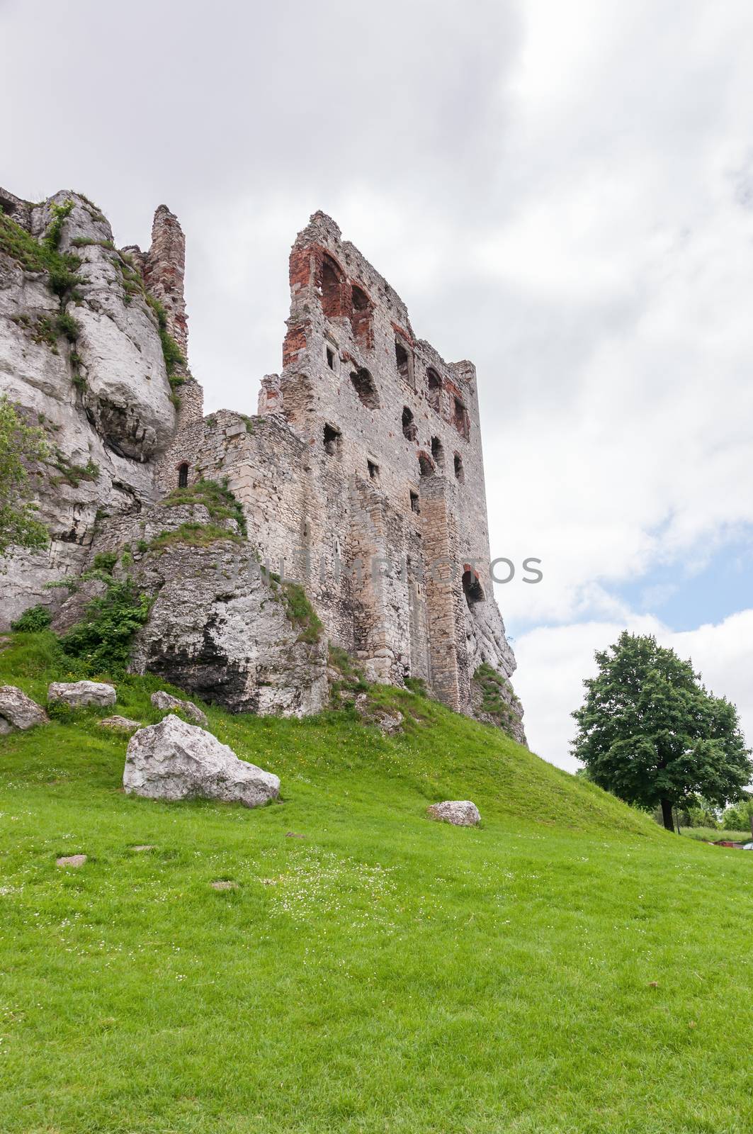 The old castle ruins in Ogrodzieniec, Poland.