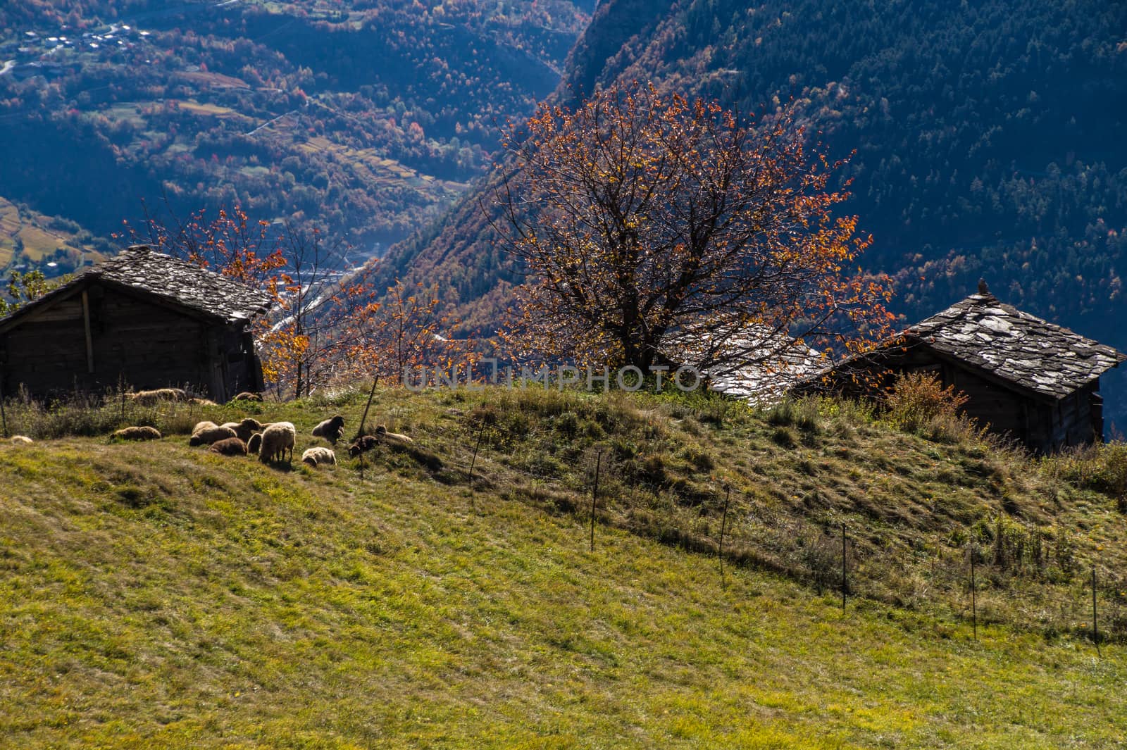 niwarch,ausserberg,valais,swiss