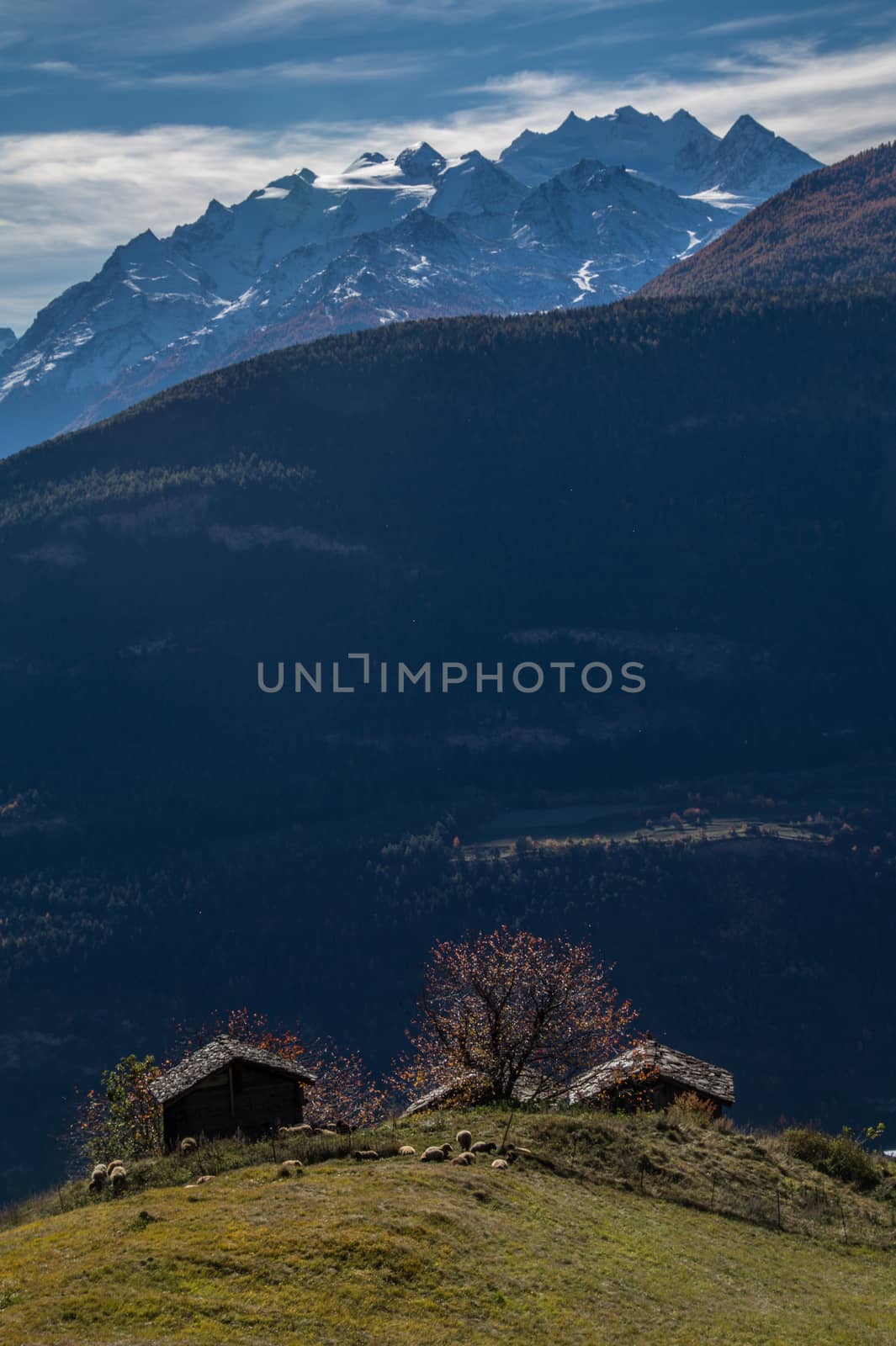 niwarch,ausserberg,valais,swiss