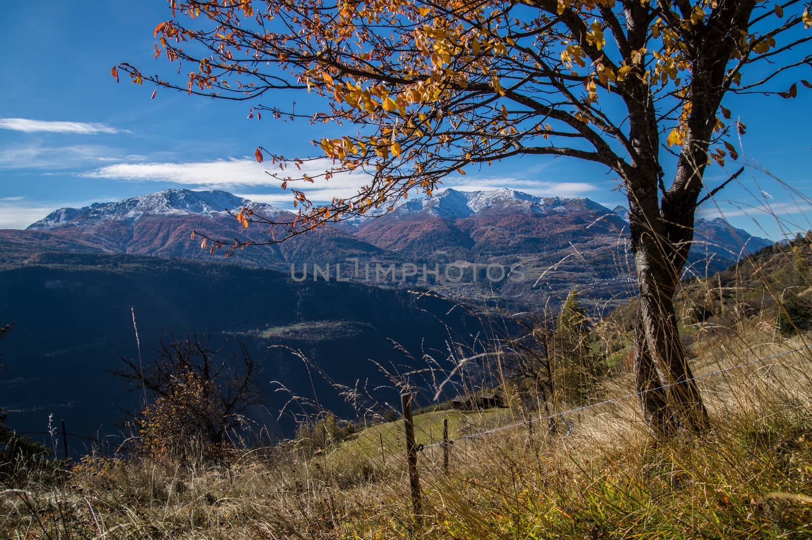 niwarch,ausserberg,valais,swiss