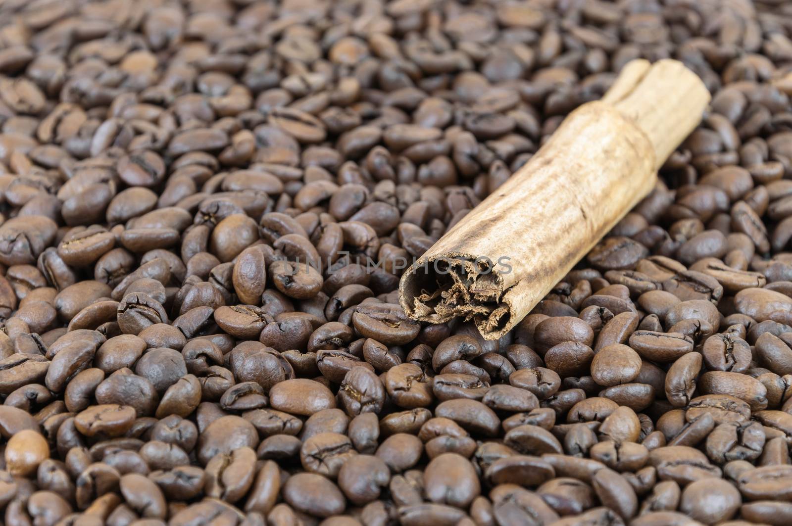 Cinnamon stick on a background made of coffee beans