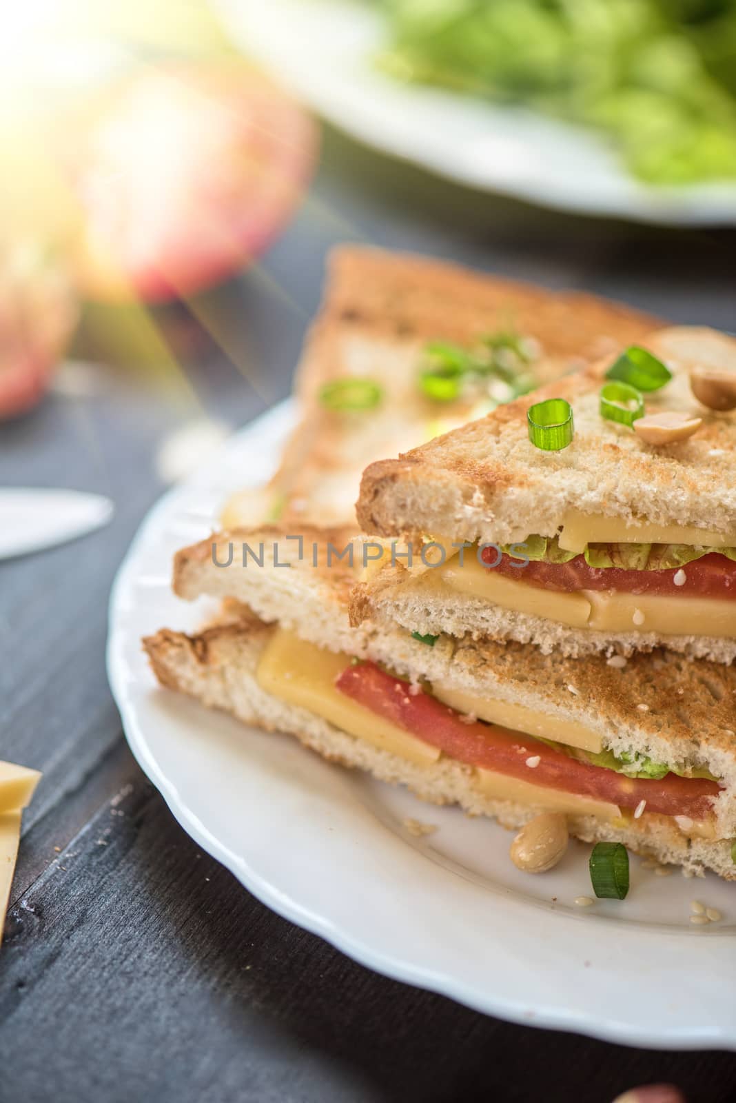 Cheese sandwich with tomato and green lettuce