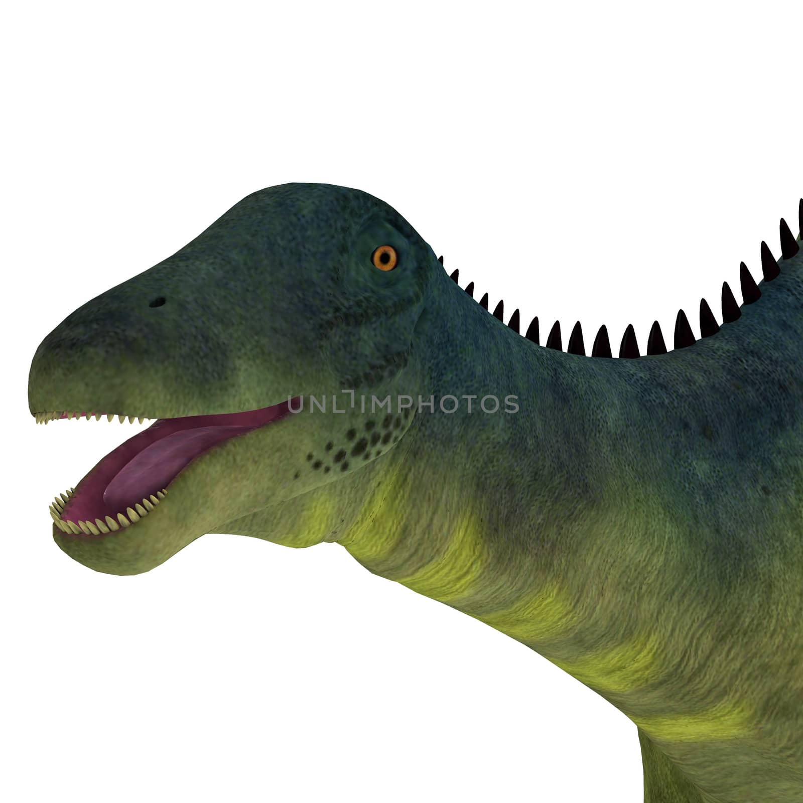 Brachytrachelopan Dinosaur Head by Catmando