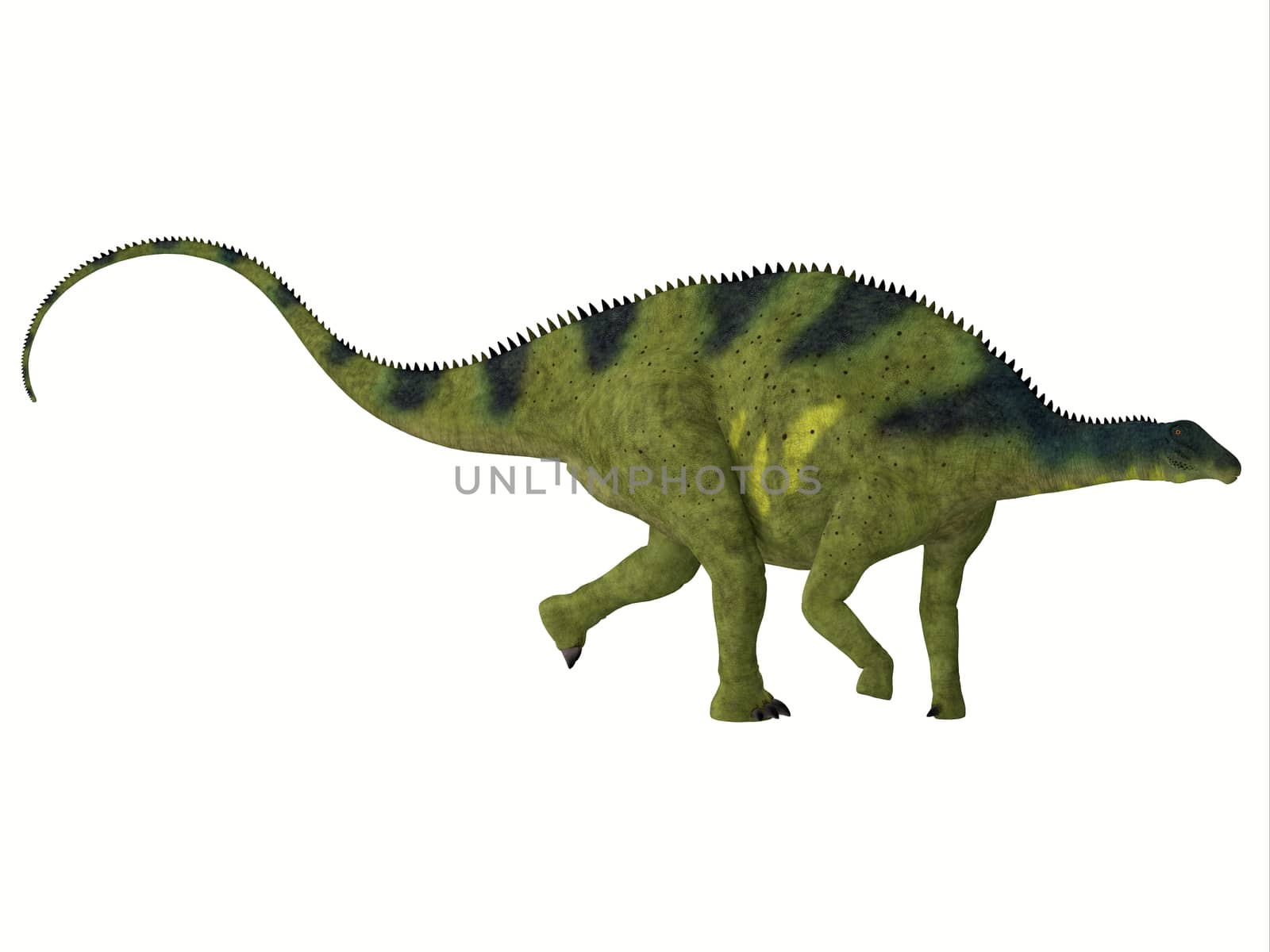 Brachytrachelopan was a herbivorous sauropod dinosaur that lived in Argentina during the Jurassic Period.