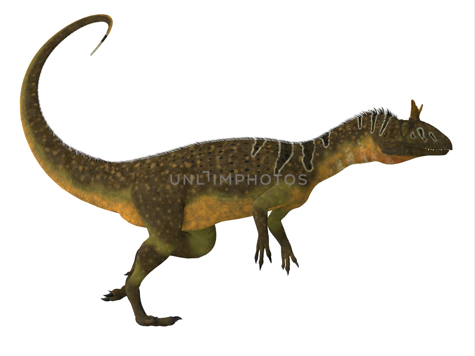 Cryolophosaurus Dinosaur Side View by Catmando