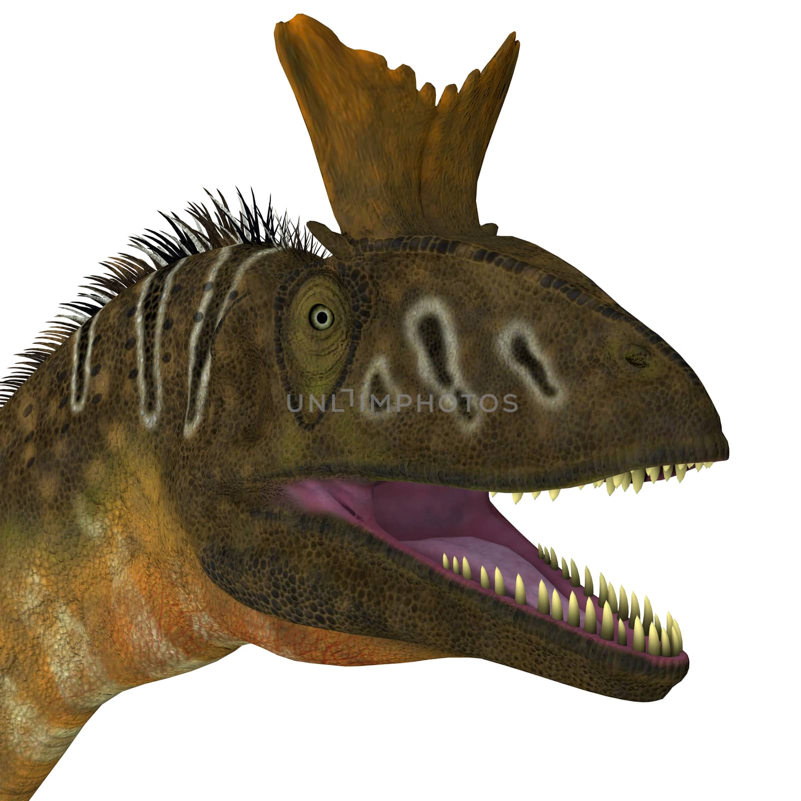 Cryolophosaurus Head View by Catmando