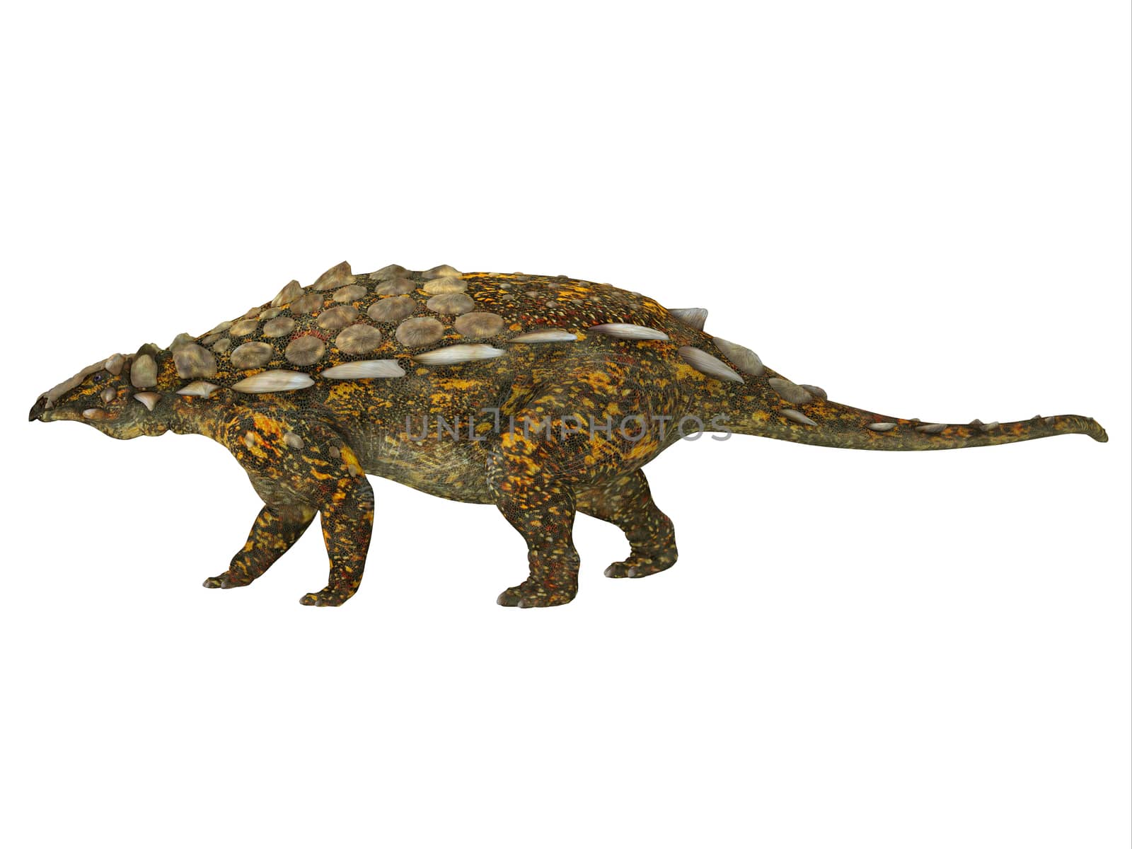 Gargoyleosaurus was an ankylosaur armored herbivorous dinosaur that lived in the Jurassic Age of Wyoming, North America.