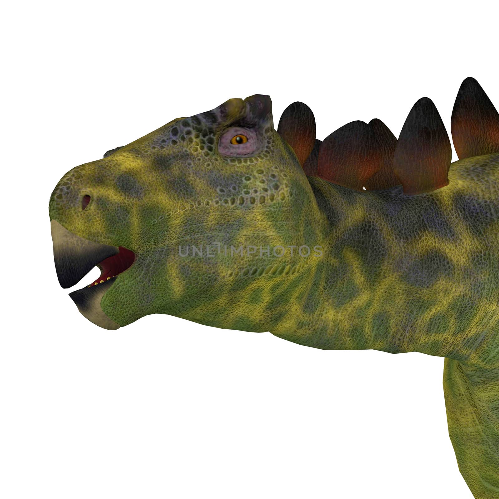 Huayangosaurus Dinosaur Head by Catmando