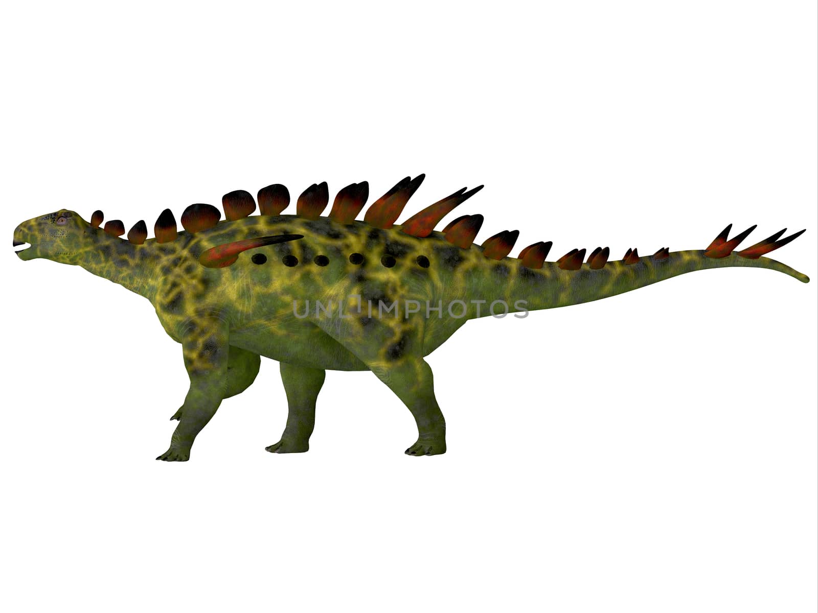 Huayangosaurus Side Profile by Catmando