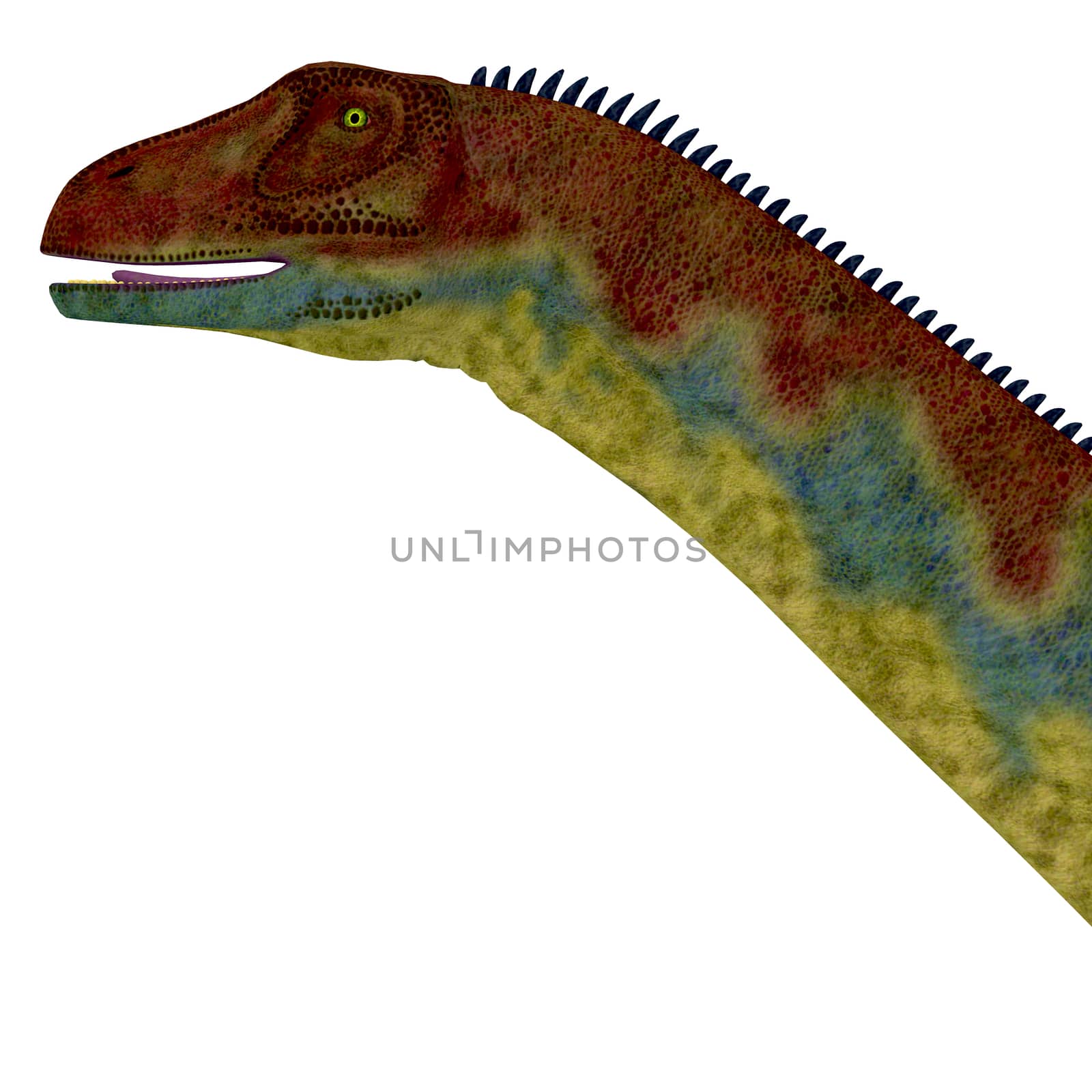 Jobaria was a herbivorous sauropod dinosaur that lived in the Jurassic Period of the Sahara Desert in Africa.