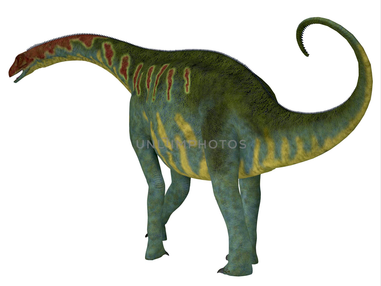 Jobaria was a herbivorous sauropod dinosaur that lived in the Jurassic Period of the Sahara Desert in Africa.