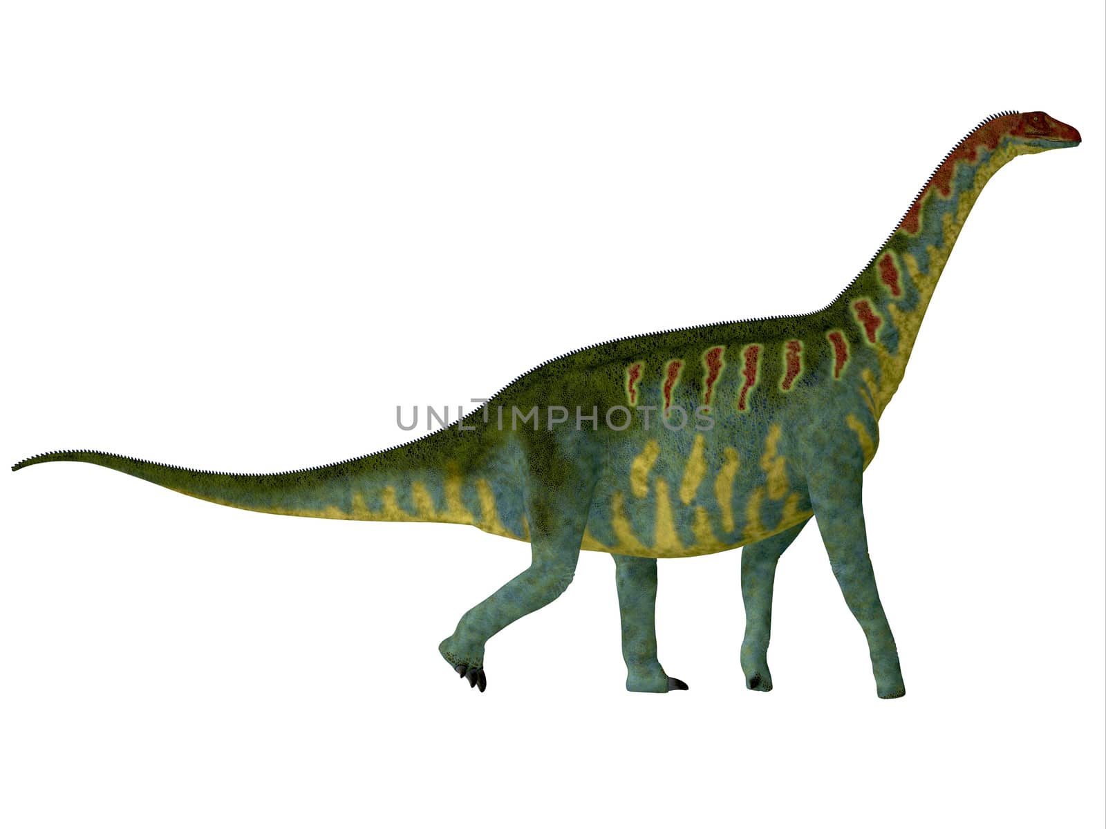 Jobaria was a herbivorous sauropod dinosaur that lived in the Jurassic Period of the Sahara Desert in Africa.