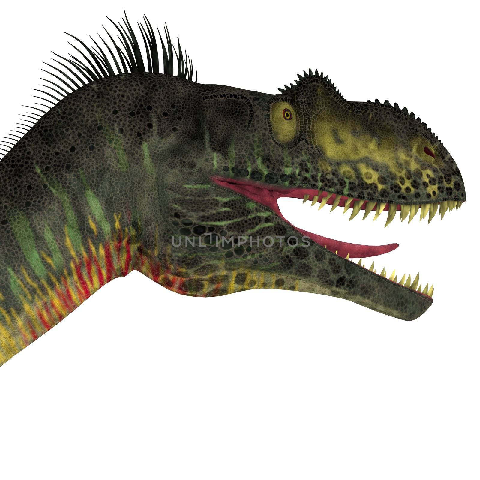 Megalosaurus was a large carnivorous theropod dinosaur that lived in the Jurassic Period of Europe.