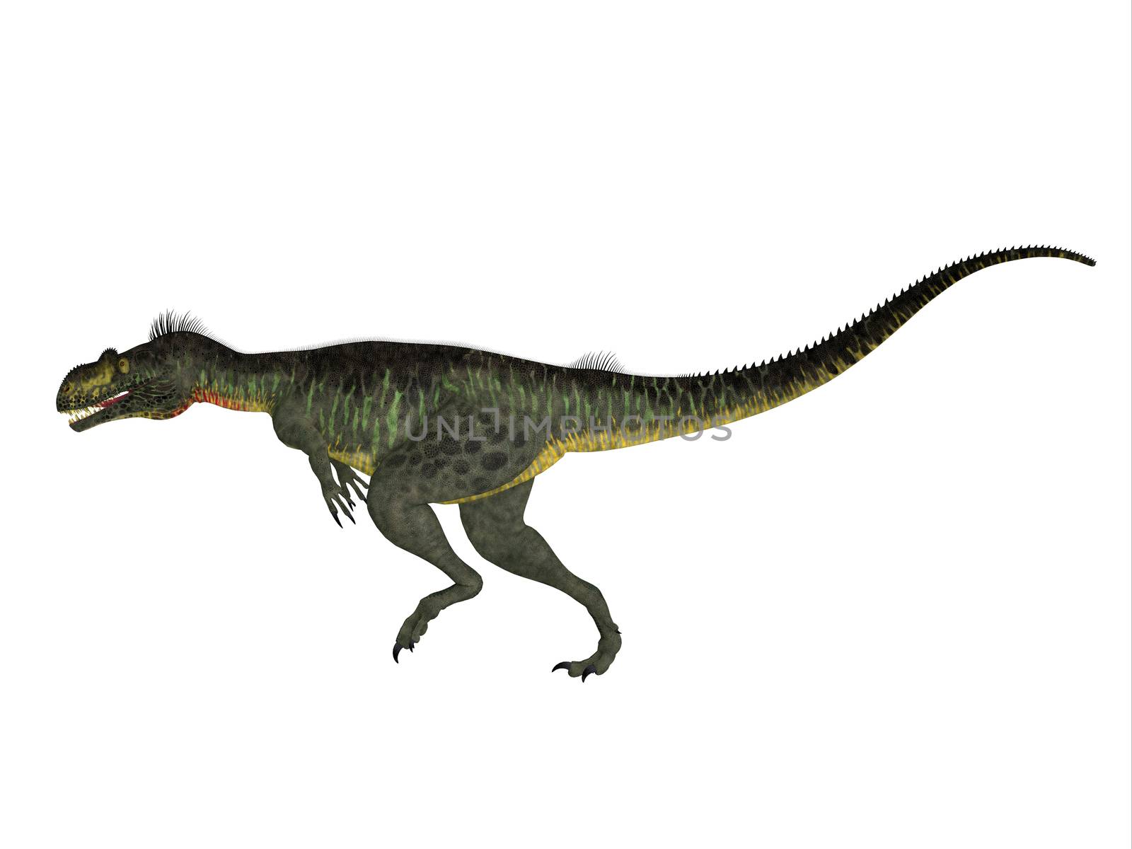 Megalosaurus was a large carnivorous theropod dinosaur that lived in the Jurassic Period of Europe.