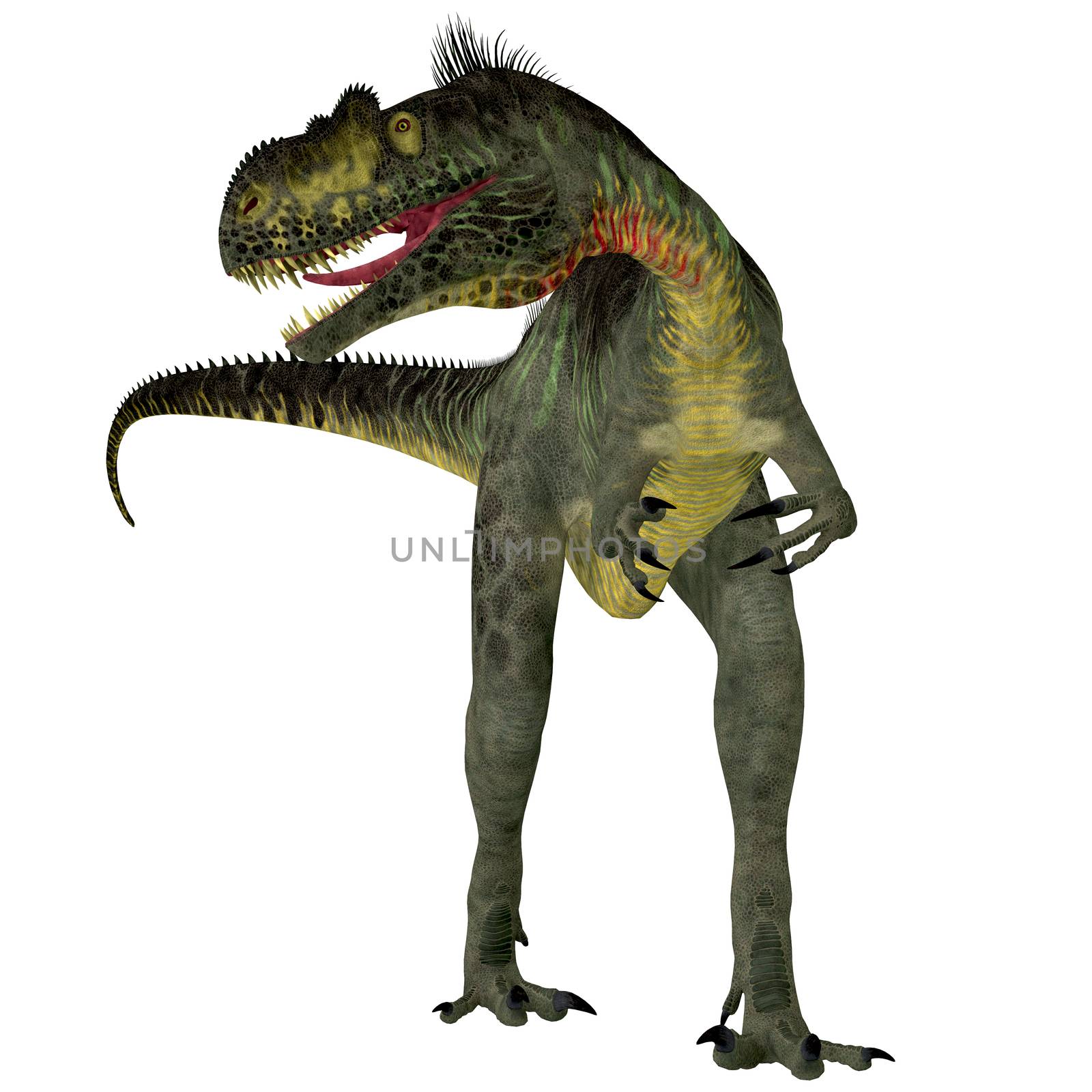 Megalosaurus was a large carnivorous theropod dinosaur that lived in the Jurassic Period of Europe.