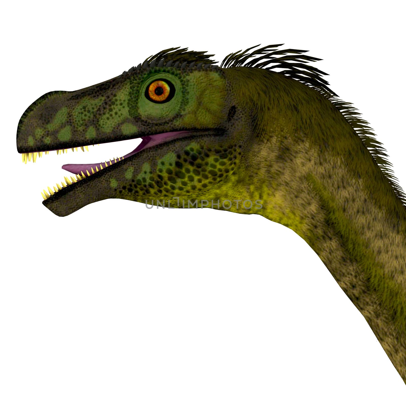Ornitholestes Dinosaur Head by Catmando