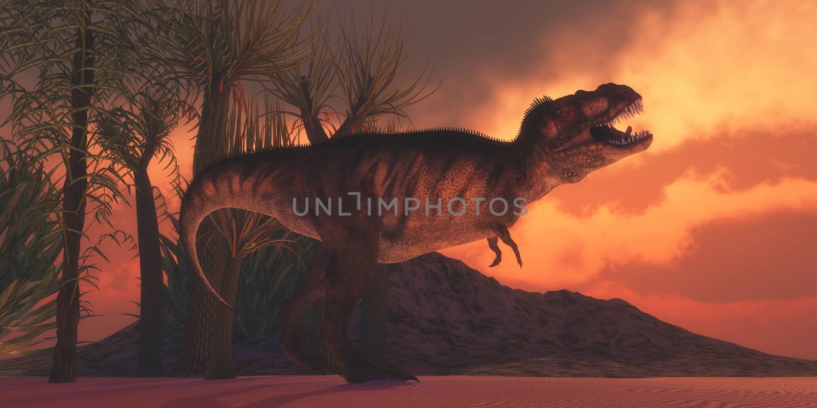 A Tyrannosaurus Rex dinosaur roars to claim his territory as the sun sets on a Cretaceous day in North America. 